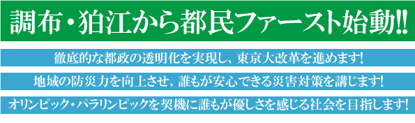 東京政策