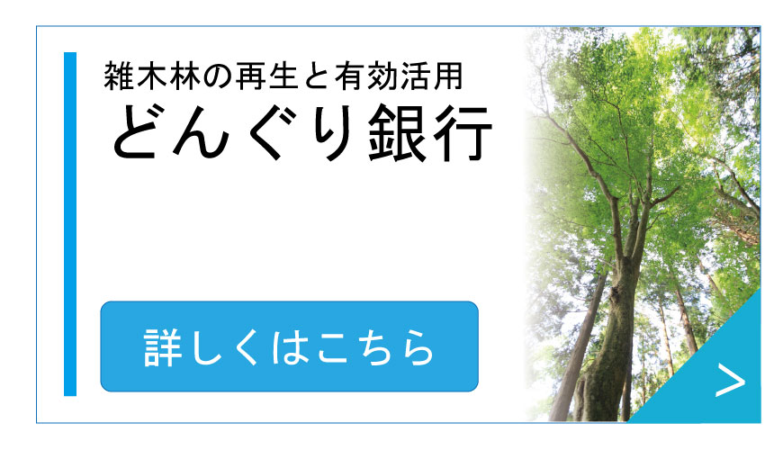 尾崎大介どんぐり銀行