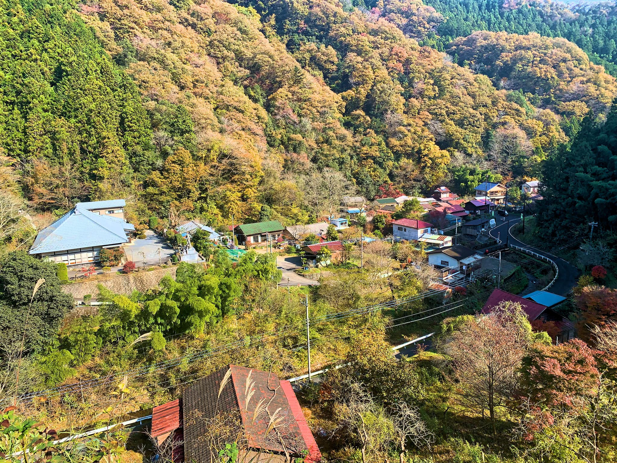 ozakidaisuke