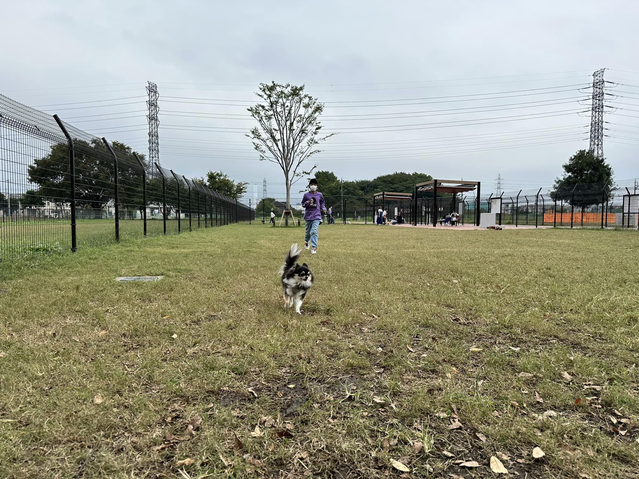 ozakidaisuke