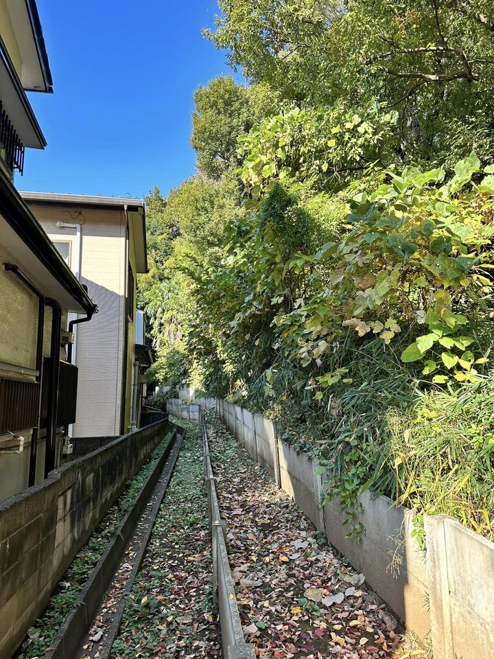 ozakidaisuke