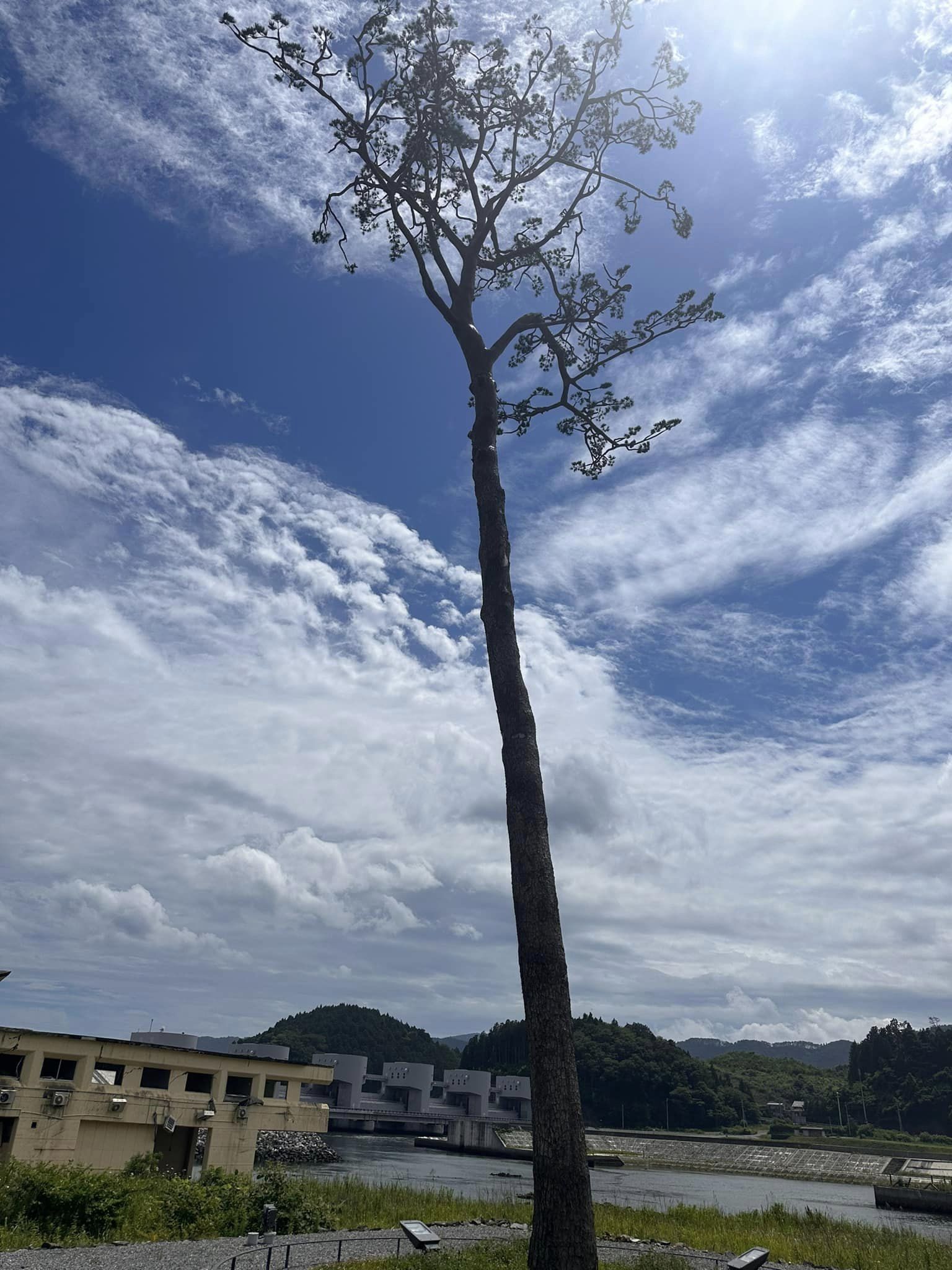 ozakidaisuke